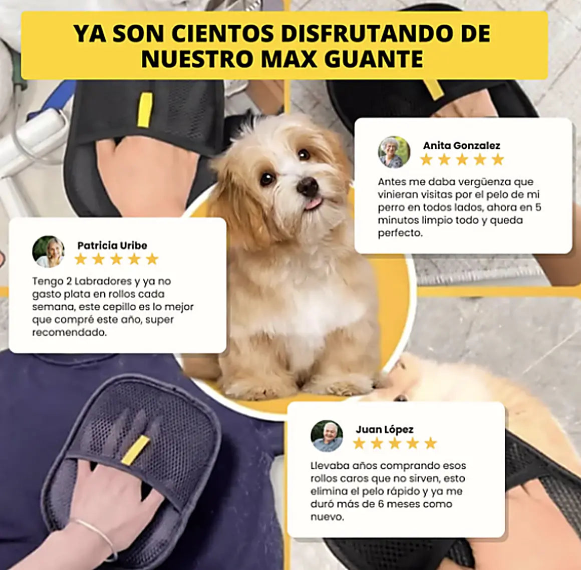 UltraGuante | Experto en quitar pelos de mascotas