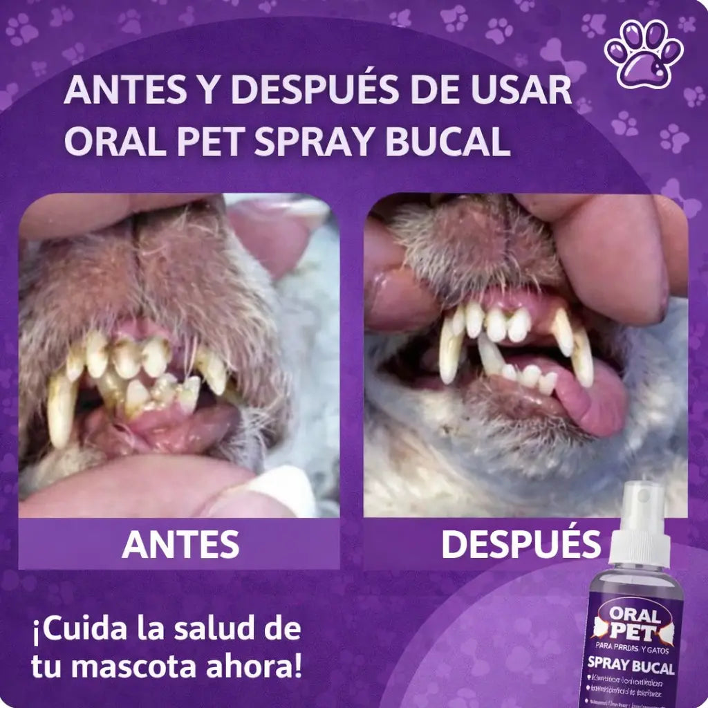 Oral Pet Spray - Limpiador para Mascotas 🦷