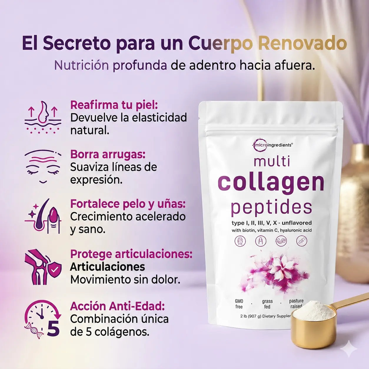 MULTI COLAGENO 5 TIPOS