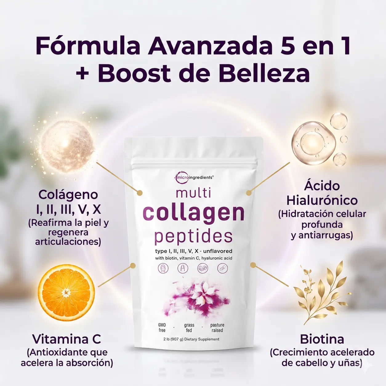 MULTI COLAGENO 5 TIPOS